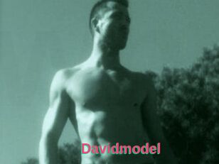 Davidmodel