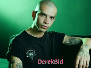 DerekSid