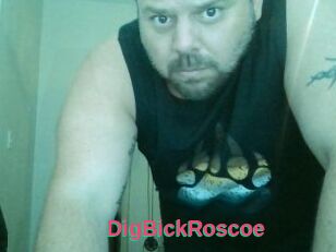 DigBickRoscoe