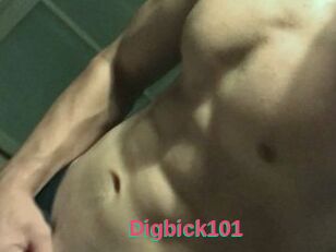 Digbick101