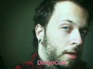 DingoCub