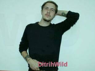 DitrihWild