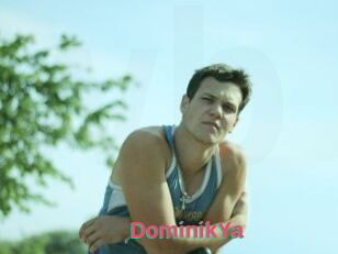 DominikYa