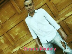 Dominikbunny