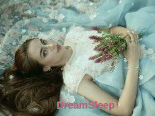 DreamSleep
