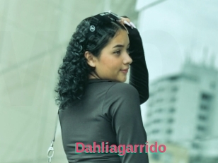 Dahliagarrido