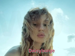 Daisyburge