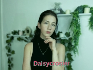 Daisycrosier