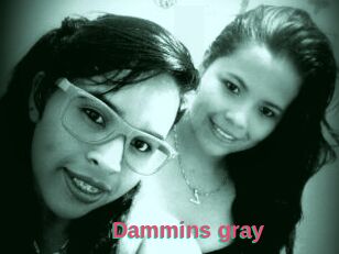 Dammins_gray