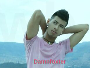Damnfoxter