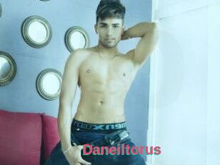 Daneil_torus