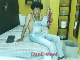 Danii_steel