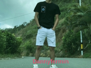 Dannyfermin