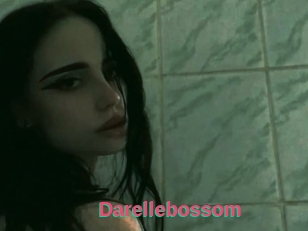 Darellebossom