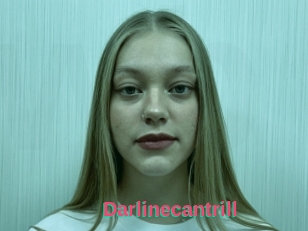 Darlinecantrill