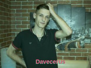 Davecerus