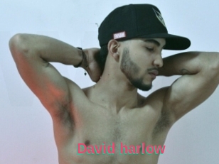 David_harlow