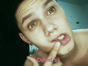 David_sk