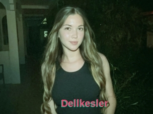 Dellkesler
