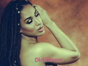 Didiflower