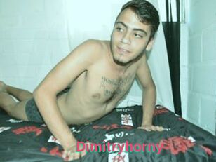 Dimitryhorny