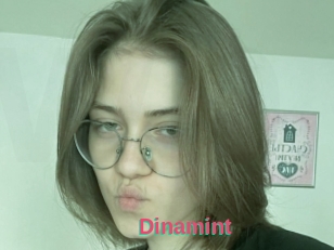 Dinamint