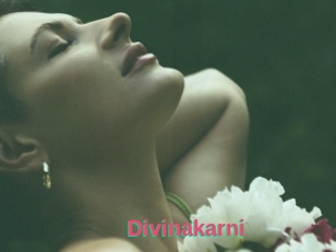 Divinakarni