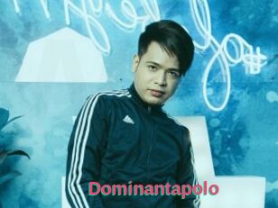 Dominantapolo