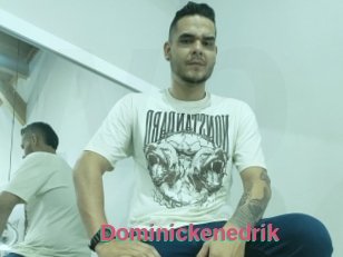 Dominickenedrik