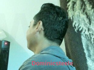Dominicsteele