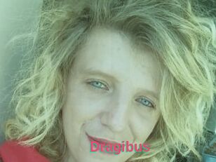 Dragibus