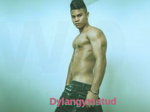 Dylangymstud