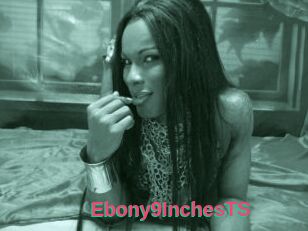 Ebony9InchesTS