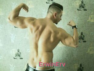 ErwinErv