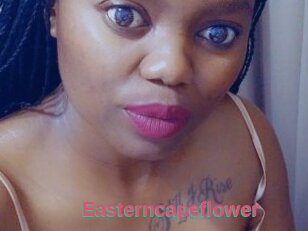 Easterncapeflower
