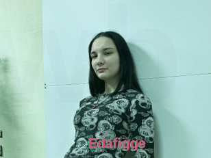 Edafigge