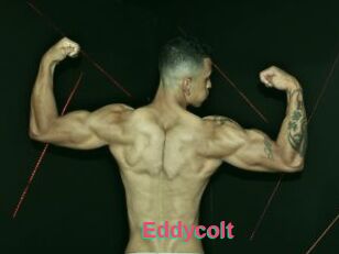 Eddycolt