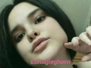 Editagleghorn