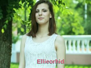 Ellieorhid