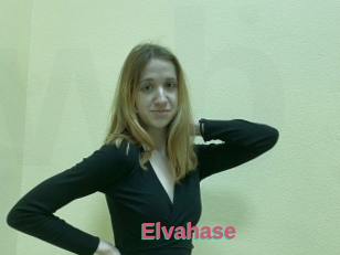 Elvahase