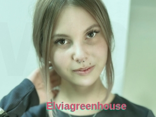 Elviagreenhouse