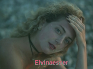 Elvinaesser