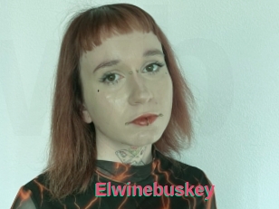 Elwinebuskey