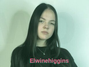 Elwinehiggins