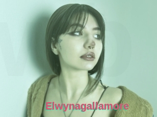 Elwynagallamore