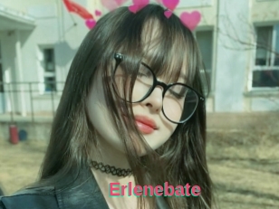 Erlenebate