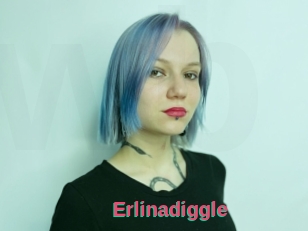 Erlinadiggle