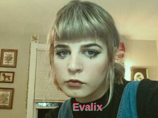 Evalix