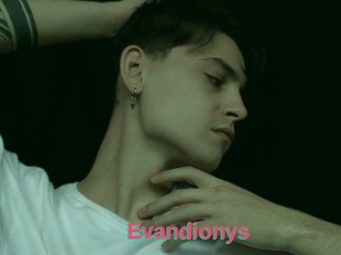 Evandionys