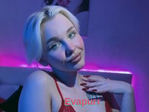 Evapurr